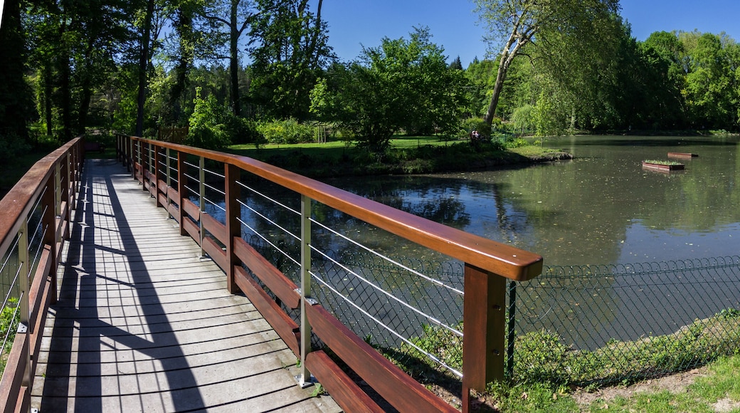 Cheverny castle and gardens in Loire valley (France)