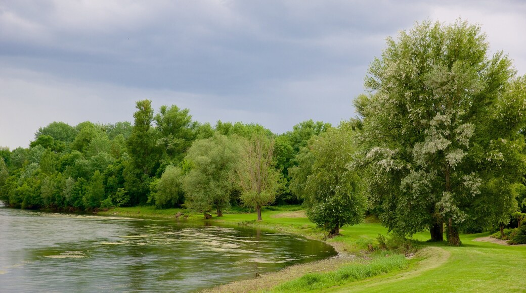 Selles-sur-Cher qui includes parc et lac ou étang