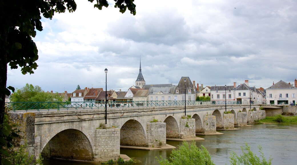 Selles-sur-Cher which includes a bridge and a small town or village