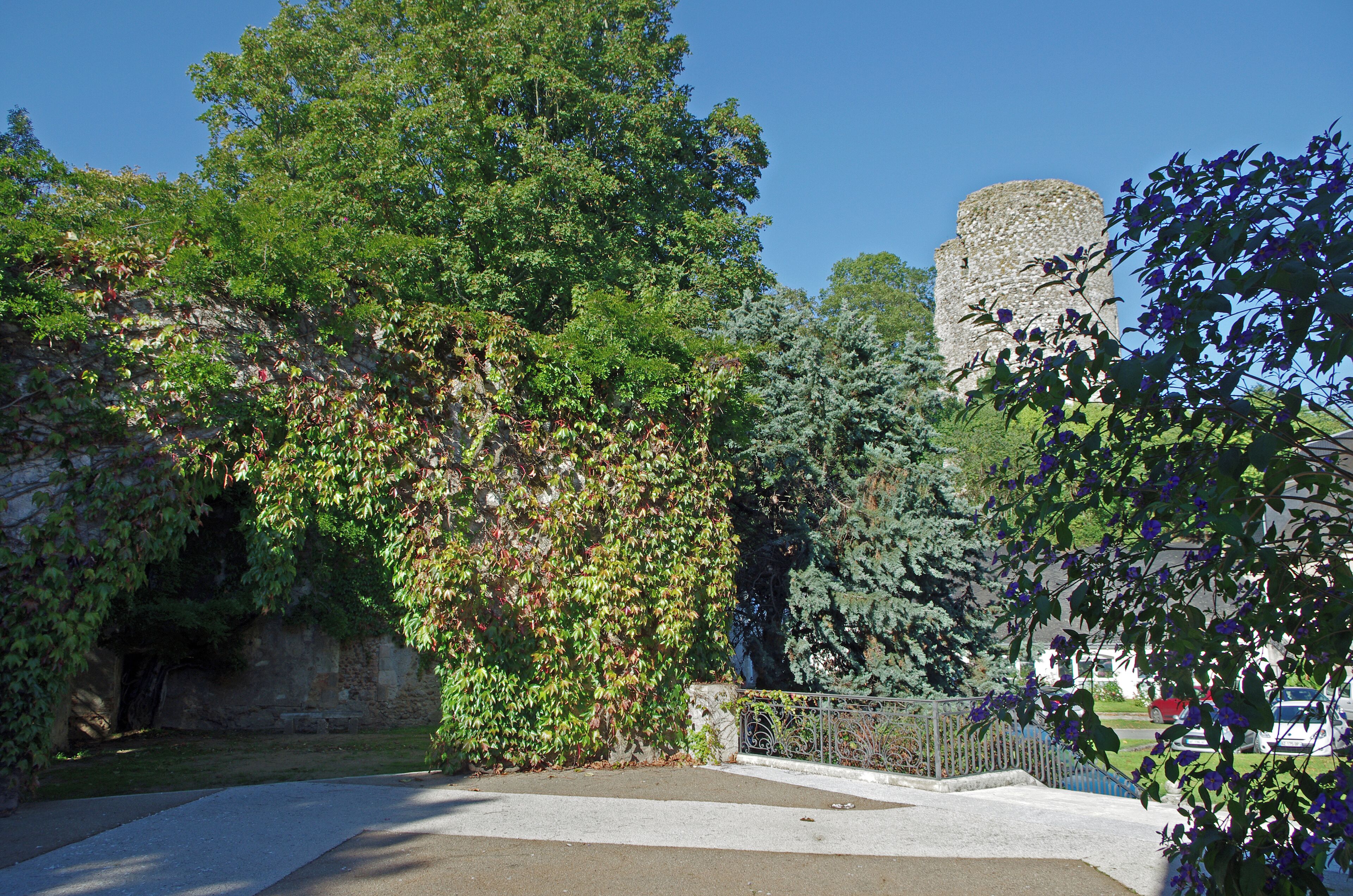Château-Renault (Indre-et-Loire) Donjon de Château-Renault, XIIe siècle. Du Moyen-Age à la période classique, le site de Château-Renault passe aux mains de nombreux propriétaires : les comtes de Blois, la famille d’Orléans, les Dunois, les Longueville et la famille de Conti. Le domaine est érigé en marquisat au début du XVIIe siècle, sous la famille Rousselet*, dont le plus illustre représentant a été François-Louis Rousselet, vice-amiral de la marine royale et maréchal de France, et dont les armoiries ornent l’ancienne porte d’entrée du château. Au XVIIIe siècle le château devient la propriété du Comte Charles Henri d’Estaing* puis du comte Barrairon. Au XIXe siècle le site est la propriété de la famille Calmon*, qui en fait don en 1948 à la Ville de Château-Renault pour y établir l’hôtel de ville (1962). Selon la « Chronique de Tours », c’est Renaud, petit fils du premier seigneur des lieux -Guicher de Château-Gontier-, qui donna son nom à Château-Renault (castrum Reginaldi) au début du XIe siècle*. Vingt-quatre ans plus tard, le comte d’Anjou Geoffroy Martel*, victorieux à la bataille de Nouy* (août 1044), prend possession de Château-Renault et confie la place à Renaud II de Château-Gontier*. Entre 1064 et 1073, Guicher II, seigneur «héréditaire» récupère son château. Après 1151, au décès de Renaud IV, sa fille Sybille qui est aussi arrière petite fille de Guicher II, épouse Josselin d’Auneau. Mais, elle était promise au fils de Sulpice II d’Amboise. Sulpice décide de se venger et pille et incendie la place. En seconde noce, Sybille épouse Thibaut V le Bon (comte de Champagne, de Blois et de Chartres) et fait ainsi entrer Château-Renault dans la maison de Blois. Vers le milieu du XIIe siècle (entre 1151 et 1163), Thibaut V fait bâtir le donjon que nous connaissons aujourd’hui. En 1226, par son mariage avec Hugues de Châtillon, Marie, fille de Marguerite (comtesse de Blois et de Châteaudun), fait entrer Château-Renault dans cette famille. Hugues de Châtillon devient ainsi seigneur de Château-Renault. Les Châtillons vont conserver la place jusqu’à la fin du XIVe siècle en y effectuant quelques modernisations. Le châtelet d’entrée (fin XIVe siècle) est le principal vestige de ces travaux. La seigneurie est vendue à Louis de France, frère du roi Chrles VI, en octobre 1391. Vers 1425, la place forte, est occupée par les Anglais qui y disposent d’une forte garnison. Â la fin du conflit franco-anglais (mars 1449), Jean d’Orléans, comte de Dunois et compagnon d’armes de Jeanne d’Arc, en fait l’acquisition. Durant les guerres de Religion (1589), le château, aux mains des protestants, mais presque entièrement démantelé, est mis en défense par son capitaine dénommé Sahuet, qui creuse un profond fossé. Cette simple défense fera rebrousser chemin au duc de Mayenne qui préférera marcher sur Tours. Les de Gondy, de Rousselet, d’Estaing, Calmon seront les familles propriétaires de Château-Renault du XVIe au XXe siècle (barons à partir de 1525 puis marquis à partir de 1620). (Voir Marcel Deyres : Le donjon de Château-Renault page 56 à 61 - Archéologia n° 62 - sept 1973) La famille Rousselet devient propriétaire du château et de la seigneurie de Château-Renault en 1618, et érige le domaine en marquisat en 1620. L’un de ses représentants les plus célèbres, François-Louis Rousselet, a exercé son activité militaire au sein de la marine royale française de Louis XIV, en 1661 comme enseigne de vaisseau, puis capitaine, chef d’escadre, lieutenant général des armées navales, et enfin vice-amiral du Levant. Par son mariage en 1746 avec Marie-Sophie de Rousselet, Charles-Henri d’Estaing prend le titre de marquis de Château-Renault. Il exerce une carrière dans l’armée en qualité de mousquetaire. En 1759, il demande à servir sur mer, et commence sa carrière de marin avec une expédition dans le golfe persique. Il est promu lieutenant général des armées navales et participe à des revues d’inspections dans les colonies françaises aux Antilles, puis commande la marine du port de Brest en qualité de Gouverneur. Le roi Louis XVI le fait vice-amiral en 1777, avant de le désigner en 1778 pour partir combattre l’armée anglaise durant la guerre d’indépendance américaine. Il devient Gouverneur de Touraine en 1785 puis est nommé général commandeur de la garde nationale de Versailles. Il obtient la nomination d’amiral, avant d’être cité comme témoin au procès de Marie-Antoinette, puis accusé de conspiration et condamné à mort en 1794. Originaire du Lot, la famille Calmon devient propriétaire du domaine et du château de Château-Renault au début du XIXe siècle. Ses représentants sont issus de la haute administration. D'après la chronique de Tours , Renault , petit fils de Guicher Ier., qui mourut vers l'an 1020 , donna son nom à la place qui n'était connue que sous le nom de Château ; mais la grosse tour cylindrique ou donjon dont on voit encore les ruines , au haut du coteau qui domine la vallée voisine , ne date que du XIIe. siècle , car l'histoire nous apprend que Sulpice d'Amboise mit le siège devant Château-Renault , l'emporta d'assaut et brûla tout , hormis l'église, vers le milieu du XIIe. siècle. Cette tour cylindrique est placée isolément sur une éminence conique ou motte dont les talus ont été consolidés par des murs construits avec soin. Elle était divisée en plusieurs étages ayant des cheminées. Les murs sont revêtus extérieurement en pierres bien cimentées , de moyen appareil ; on remarque , vers la partie supérieure , un rétrécissement très-sensible résultant du talus considérable ménagé dans l'élévation de l'édifice. On avait même, je crois, placé à l'intérieur quelques assises en surplomb dans la partie supérieure des murs , afin de diminuer le diamètre du toit ou peut-être de former une voûte. Le donjon de Château-Renault a été démantelé , l'ancienne (illisible) détruite ; on entre aujourd'hui par une large brèche (illisible) à peu près au tiers du cercle de la tour. L'enceinte du bayle a été défigurée en partie. Elle était assez vaste; la porte d'entrée qui existe encore n'est pas sans intérêt, mais je ne la crois pas du XIIe. siècle. (Histoire sommaire de l'architecture au Moyen-Âge par M. de Caumont - 1836) Geoffroy II Martel, fils de Foulques III Nerra et de Hildegarde, est né à Loches en 1005. Voulant prendre la tutelle de l'Anjou par anticipation, il entrera en guerre contre son père, Foulques Nerra, qui sera vainqueur. Geoffroy Martel devra attendre la mort de son père pour prendre possession d'une vaste région couverte de forteresses. Geoffroy Martel a été excommunié pour les désordres de sa vie privée mais surtout pour le soutien qu'il apportait à Béranger de Tours alors que celui-ci était en conflit avec la Papauté. Geoffroy poursuit la même politique que son père vis a vis des comtes de Blois : enlever Tours aux comtes de Blois et les chasser de Touraine La Bataille de Nouy (1044) s'inscrit dans la longue lutte entre les comtes de Blois et d'Anjou. En 1044, Thibault III, comte de Blois est fait prisonnier par le fils de Foulques Nerra, Geoffroy Martel, qui remporte une victoire à Nouy (près de Saint-Martin-le-Beau). Pour retrouver la liberté, Thibault doit abandonner définitivement la Touraine aux Comtes d'Anjou. Renaud II est cité, comme son frère, dans la charte de Saumur. L'un et l'autre s'attachèrent aux comtes d'Anjou. Geoffroy Martel, comte d'Anjou, après la conquête de la Touraine, dépouilla plusieurs de ses principaux vassaux de cette contrée. En particulier il dépouilla Guicher, possesseur d'un château et d'un domaine qu'il confisqua et céda à Renaud en 1044. Renauld II imposa son nom au domaine et au château : "Castrum quod ejusdem nomine vocatur Castrum Renaldi". Il le garda jusqu'en 1066, époque où Guicher rentra en possession de son bien. En cette même année 1066, Renaud II laissa Château-Renaud pour se fixer définitivement à Château-Gontier. Pas pour longtemps. Le mercredi Saint 4 avril 1067, Renaud II de Chateau-Gontier, Geoffroy de Preuilly, Robert le Bourguignon, et Girard de Montreuil-Bellay, pénètrent dans Angers. Ils s'emparent de Geoffroy le Barbu (neveu de Geoffroy Martel et frère de Foulques le Réchin. Les deux frères se disputent les possessions de leur oncle) pour le compte de Foulques le Réchin. Le lendemain, le jeudi Saint 5 avril, une terrible émeute de la population d'Angers, souleva la ville. Foulque Réchin ne put, ou ne voulut protéger ses affidés de la colère populaire, et Renaud II de Chateau-Gontier, Geoffroy de Preuilly, Robert le Bourguignon, et Girard de Montreuil-Bellay furent massacrés. Voir : www.richesheures.net/epoque-6-15/chateau/37chat-renault-h... www.ville-chateau-renault.fr/Les-personnages-celebres.html