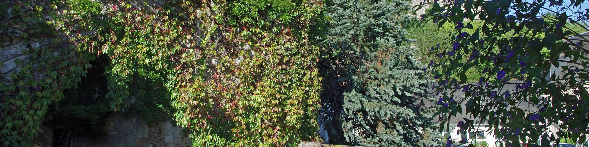 Château-Renault (Indre-et-Loire) Donjon de Château-Renault, XIIe siècle. Du Moyen-Age à la période classique, le site de Château-Renault passe aux mains de nombreux propriétaires : les comtes de Blois, la famille d’Orléans, les Dunois, les Longueville et la famille de Conti. Le domaine est érigé en marquisat au début du XVIIe siècle, sous la famille Rousselet*, dont le plus illustre représentant a été François-Louis Rousselet, vice-amiral de la marine royale et maréchal de France, et dont les armoiries ornent l’ancienne porte d’entrée du château. Au XVIIIe siècle le château devient la propriété du Comte Charles Henri d’Estaing* puis du comte Barrairon. Au XIXe siècle le site est la propriété de la famille Calmon*, qui en fait don en 1948 à la Ville de Château-Renault pour y établir l’hôtel de ville (1962). Selon la « Chronique de Tours », c’est Renaud, petit fils du premier seigneur des lieux -Guicher de Château-Gontier-, qui donna son nom à Château-Renault (castrum Reginaldi) au début du XIe siècle*. Vingt-quatre ans plus tard, le comte d’Anjou Geoffroy Martel*, victorieux à la bataille de Nouy* (août 1044), prend possession de Château-Renault et confie la place à Renaud II de Château-Gontier*. Entre 1064 et 1073, Guicher II, seigneur «héréditaire» récupère son château. Après 1151, au décès de Renaud IV, sa fille Sybille qui est aussi arrière petite fille de Guicher II, épouse Josselin d’Auneau. Mais, elle était promise au fils de Sulpice II d’Amboise. Sulpice décide de se venger et pille et incendie la place. En seconde noce, Sybille épouse Thibaut V le Bon (comte de Champagne, de Blois et de Chartres) et fait ainsi entrer Château-Renault dans la maison de Blois. Vers le milieu du XIIe siècle (entre 1151 et 1163), Thibaut V fait bâtir le donjon que nous connaissons aujourd’hui. En 1226, par son mariage avec Hugues de Châtillon, Marie, fille de Marguerite (comtesse de Blois et de Châteaudun), fait entrer Château-Renault dans cette famille. Hugues de Châtillon devient ainsi seigneur de Château-Renault. Les Châtillons vont conserver la place jusqu’à la fin du XIVe siècle en y effectuant quelques modernisations. Le châtelet d’entrée (fin XIVe siècle) est le principal vestige de ces travaux. La seigneurie est vendue à Louis de France, frère du roi Chrles VI, en octobre 1391. Vers 1425, la place forte, est occupée par les Anglais qui y disposent d’une forte garnison. Â la fin du conflit franco-anglais (mars 1449), Jean d’Orléans, comte de Dunois et compagnon d’armes de Jeanne d’Arc, en fait l’acquisition. Durant les guerres de Religion (1589), le château, aux mains des protestants, mais presque entièrement démantelé, est mis en défense par son capitaine dénommé Sahuet, qui creuse un profond fossé. Cette simple défense fera rebrousser chemin au duc de Mayenne qui préférera marcher sur Tours. Les de Gondy, de Rousselet, d’Estaing, Calmon seront les familles propriétaires de Château-Renault du XVIe au XXe siècle (barons à partir de 1525 puis marquis à partir de 1620). (Voir Marcel Deyres : Le donjon de Château-Renault page 56 à 61 - Archéologia n° 62 - sept 1973) La famille Rousselet devient propriétaire du château et de la seigneurie de Château-Renault en 1618, et érige le domaine en marquisat en 1620. L’un de ses représentants les plus célèbres, François-Louis Rousselet, a exercé son activité militaire au sein de la marine royale française de Louis XIV, en 1661 comme enseigne de vaisseau, puis capitaine, chef d’escadre, lieutenant général des armées navales, et enfin vice-amiral du Levant. Par son mariage en 1746 avec Marie-Sophie de Rousselet, Charles-Henri d’Estaing prend le titre de marquis de Château-Renault. Il exerce une carrière dans l’armée en qualité de mousquetaire. En 1759, il demande à servir sur mer, et commence sa carrière de marin avec une expédition dans le golfe persique. Il est promu lieutenant général des armées navales et participe à des revues d’inspections dans les colonies françaises aux Antilles, puis commande la marine du port de Brest en qualité de Gouverneur. Le roi Louis XVI le fait vice-amiral en 1777, avant de le désigner en 1778 pour partir combattre l’armée anglaise durant la guerre d’indépendance américaine. Il devient Gouverneur de Touraine en 1785 puis est nommé général commandeur de la garde nationale de Versailles. Il obtient la nomination d’amiral, avant d’être cité comme témoin au procès de Marie-Antoinette, puis accusé de conspiration et condamné à mort en 1794. Originaire du Lot, la famille Calmon devient propriétaire du domaine et du château de Château-Renault au début du XIXe siècle. Ses représentants sont issus de la haute administration. D'après la chronique de Tours , Renault , petit fils de Guicher Ier., qui mourut vers l'an 1020 , donna son nom à la place qui n'était connue que sous le nom de Château ; mais la grosse tour cylindrique ou donjon dont on voit encore les ruines , au haut du coteau qui domine la vallée voisine , ne date que du XIIe. siècle , car l'histoire nous apprend que Sulpice d'Amboise mit le siège devant Château-Renault , l'emporta d'assaut et brûla tout , hormis l'église, vers le milieu du XIIe. siècle. Cette tour cylindrique est placée isolément sur une éminence conique ou motte dont les talus ont été consolidés par des murs construits avec soin. Elle était divisée en plusieurs étages ayant des cheminées. Les murs sont revêtus extérieurement en pierres bien cimentées , de moyen appareil ; on remarque , vers la partie supérieure , un rétrécissement très-sensible résultant du talus considérable ménagé dans l'élévation de l'édifice. On avait même, je crois, placé à l'intérieur quelques assises en surplomb dans la partie supérieure des murs , afin de diminuer le diamètre du toit ou peut-être de former une voûte. Le donjon de Château-Renault a été démantelé , l'ancienne (illisible) détruite ; on entre aujourd'hui par une large brèche (illisible) à peu près au tiers du cercle de la tour. L'enceinte du bayle a été défigurée en partie. Elle était assez vaste; la porte d'entrée qui existe encore n'est pas sans intérêt, mais je ne la crois pas du XIIe. siècle. (Histoire sommaire de l'architecture au Moyen-Âge par M. de Caumont - 1836) Geoffroy II Martel, fils de Foulques III Nerra et de Hildegarde, est né à Loches en 1005. Voulant prendre la tutelle de l'Anjou par anticipation, il entrera en guerre contre son père, Foulques Nerra, qui sera vainqueur. Geoffroy Martel devra attendre la mort de son père pour prendre possession d'une vaste région couverte de forteresses. Geoffroy Martel a été excommunié pour les désordres de sa vie privée mais surtout pour le soutien qu'il apportait à Béranger de Tours alors que celui-ci était en conflit avec la Papauté. Geoffroy poursuit la même politique que son père vis a vis des comtes de Blois : enlever Tours aux comtes de Blois et les chasser de Touraine La Bataille de Nouy (1044) s'inscrit dans la longue lutte entre les comtes de Blois et d'Anjou. En 1044, Thibault III, comte de Blois est fait prisonnier par le fils de Foulques Nerra, Geoffroy Martel, qui remporte une victoire à Nouy (près de Saint-Martin-le-Beau). Pour retrouver la liberté, Thibault doit abandonner définitivement la Touraine aux Comtes d'Anjou. Renaud II est cité, comme son frère, dans la charte de Saumur. L'un et l'autre s'attachèrent aux comtes d'Anjou. Geoffroy Martel, comte d'Anjou, après la conquête de la Touraine, dépouilla plusieurs de ses principaux vassaux de cette contrée. En particulier il dépouilla Guicher, possesseur d'un château et d'un domaine qu'il confisqua et céda à Renaud en 1044. Renauld II imposa son nom au domaine et au château : "Castrum quod ejusdem nomine vocatur Castrum Renaldi". Il le garda jusqu'en 1066, époque où Guicher rentra en possession de son bien. En cette même année 1066, Renaud II laissa Château-Renaud pour se fixer définitivement à Château-Gontier. Pas pour longtemps. Le mercredi Saint 4 avril 1067, Renaud II de Chateau-Gontier, Geoffroy de Preuilly, Robert le Bourguignon, et Girard de Montreuil-Bellay, pénètrent dans Angers. Ils s'emparent de Geoffroy le Barbu (neveu de Geoffroy Martel et frère de Foulques le Réchin. Les deux frères se disputent les possessions de leur oncle) pour le compte de Foulques le Réchin. Le lendemain, le jeudi Saint 5 avril, une terrible émeute de la population d'Angers, souleva la ville. Foulque Réchin ne put, ou ne voulut protéger ses affidés de la colère populaire, et Renaud II de Chateau-Gontier, Geoffroy de Preuilly, Robert le Bourguignon, et Girard de Montreuil-Bellay furent massacrés. Voir : www.richesheures.net/epoque-6-15/chateau/37chat-renault-h... www.ville-chateau-renault.fr/Les-personnages-celebres.html