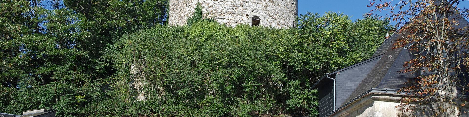 ChĂąteau-Renault (Indre-et-Loire) Donjon de ChĂąteau-Renault, XIIe siĂšcle. Du Moyen-Age Ă la pĂ©riode classique, le site de ChĂąteau-Renault passe aux mains de nombreux propriĂ©taires : les comtes de Blois, la famille dâOrlĂ©ans, les Dunois, les Longueville et la famille de Conti. Le domaine est Ă©rigĂ© en marquisat au dĂ©but du XVIIe siĂšcle, sous la famille Rousselet*, dont le plus illustre reprĂ©sentant a Ă©tĂ© François-Louis Rousselet, vice-amiral de la marine royale et marĂ©chal de France, et dont les armoiries ornent lâancienne porte dâentrĂ©e du chĂąteau. Au XVIIIe siĂšcle le chĂąteau devient la propriĂ©tĂ© du Comte Charles Henri dâEstaing* puis du comte Barrairon. Au XIXe siĂšcle le site est la propriĂ©tĂ© de la famille Calmon*, qui en fait don en 1948 Ă la Ville de ChĂąteau-Renault pour y Ă©tablir lâhĂŽtel de ville (1962). Selon la « Chronique de Tours », câest Renaud, petit fils du premier seigneur des lieux -Guicher de ChĂąteau-Gontier-, qui donna son nom Ă ChĂąteau-Renault (castrum Reginaldi) au dĂ©but du XIe siĂšcle*. Vingt-quatre ans plus tard, le comte dâAnjou Geoffroy Martel*, victorieux Ă la bataille de Nouy* (aoĂ»t 1044), prend possession de ChĂąteau-Renault et confie la place Ă Renaud II de ChĂąteau-Gontier*. Entre 1064 et 1073, Guicher II, seigneur «hĂ©rĂ©ditaire» rĂ©cupĂšre son chĂąteau. AprĂšs 1151, au dĂ©cĂšs de Renaud IV, sa fille Sybille qui est aussi arriĂšre petite fille de Guicher II, Ă©pouse Josselin dâAuneau. Mais, elle Ă©tait promise au fils de Sulpice II dâAmboise. Sulpice dĂ©cide de se venger et pille et incendie la place. En seconde noce, Sybille Ă©pouse Thibaut V le Bon (comte de Champagne, de Blois et de Chartres) et fait ainsi entrer ChĂąteau-Renault dans la maison de Blois. Vers le milieu du XIIe siĂšcle (entre 1151 et 1163), Thibaut V fait bĂątir le donjon que nous connaissons aujourdâhui. En 1226, par son mariage avec Hugues de ChĂątillon, Marie, fille de Marguerite (comtesse de Blois et de ChĂąteaudun), fait entrer ChĂąteau-Renault dans cette famille. Hugues de ChĂątillon devient ainsi seigneur de ChĂąteau-Renault. Les ChĂątillons vont conserver la place jusquâĂ la fin du XIVe siĂšcle en y effectuant quelques modernisations. Le chĂątelet dâentrĂ©e (fin XIVe siĂšcle) est le principal vestige de ces travaux. La seigneurie est vendue Ă Louis de France, frĂšre du roi Chrles VI, en octobre 1391. Vers 1425, la place forte, est occupĂ©e par les Anglais qui y disposent dâune forte garnison. Ă la fin du conflit franco-anglais (mars 1449), Jean dâOrlĂ©ans, comte de Dunois et compagnon dâarmes de Jeanne dâArc, en fait lâacquisition. Durant les guerres de Religion (1589), le chĂąteau, aux mains des protestants, mais presque entiĂšrement dĂ©mantelĂ©, est mis en dĂ©fense par son capitaine dĂ©nommĂ© Sahuet, qui creuse un profond fossĂ©. Cette simple dĂ©fense fera rebrousser chemin au duc de Mayenne qui prĂ©fĂ©rera marcher sur Tours. Les de Gondy, de Rousselet, dâEstaing, Calmon seront les familles propriĂ©taires de ChĂąteau-Renault du XVIe au XXe siĂšcle (barons Ă partir de 1525 puis marquis Ă partir de 1620). (Voir Marcel Deyres : Le donjon de ChĂąteau-Renault page 56 Ă 61 - ArchĂ©ologia n° 62 - sept 1973) La famille Rousselet devient propriĂ©taire du chĂąteau et de la seigneurie de ChĂąteau-Renault en 1618, et Ă©rige le domaine en marquisat en 1620. Lâun de ses reprĂ©sentants les plus cĂ©lĂšbres, François-Louis Rousselet, a exercĂ© son activitĂ© militaire au sein de la marine royale française de Louis XIV, en 1661 comme enseigne de vaisseau, puis capitaine, chef dâescadre, lieutenant gĂ©nĂ©ral des armĂ©es navales, et enfin vice-amiral du Levant. Par son mariage en 1746 avec Marie-Sophie de Rousselet, Charles-Henri dâEstaing prend le titre de marquis de ChĂąteau-Renault. Il exerce une carriĂšre dans lâarmĂ©e en qualitĂ© de mousquetaire. En 1759, il demande Ă servir sur mer, et commence sa carriĂšre de marin avec une expĂ©dition dans le golfe persique. Il est promu lieutenant gĂ©nĂ©ral des armĂ©es navales et participe Ă des revues dâinspections dans les colonies françaises aux Antilles, puis commande la marine du port de Brest en qualitĂ© de Gouverneur. Le roi Louis XVI le fait vice-amiral en 1777, avant de le dĂ©signer en 1778 pour partir combattre lâarmĂ©e anglaise durant la guerre dâindĂ©pendance amĂ©ricaine. Il devient Gouverneur de Touraine en 1785 puis est nommĂ© gĂ©nĂ©ral commandeur de la garde nationale de Versailles. Il obtient la nomination dâamiral, avant dâĂȘtre citĂ© comme tĂ©moin au procĂšs de Marie-Antoinette, puis accusĂ© de conspiration et condamnĂ© Ă mort en 1794. Originaire du Lot, la famille Calmon devient propriĂ©taire du domaine et du chĂąteau de ChĂąteau-Renault au dĂ©but du XIXe siĂšcle. Ses reprĂ©sentants sont issus de la haute administration. D'aprĂšs la chronique de Tours , Renault , petit fils de Guicher Ier., qui mourut vers l'an 1020 , donna son nom Ă la place qui n'Ă©tait connue que sous le nom de ChĂąteau ; mais la grosse tour cylindrique ou donjon dont on voit encore les ruines , au haut du coteau qui domine la vallĂ©e voisine , ne date que du XIIe. siĂšcle , car l'histoire nous apprend que Sulpice d'Amboise mit le siĂšge devant ChĂąteau-Renault , l'emporta d'assaut et brĂ»la tout , hormis l'Ă©glise, vers le milieu du XIIe. siĂšcle. Cette tour cylindrique est placĂ©e isolĂ©ment sur une Ă©minence conique ou motte dont les talus ont Ă©tĂ© consolidĂ©s par des murs construits avec soin. Elle Ă©tait divisĂ©e en plusieurs Ă©tages ayant des cheminĂ©es. Les murs sont revĂȘtus extĂ©rieurement en pierres bien cimentĂ©es , de moyen appareil ; on remarque , vers la partie supĂ©rieure , un rĂ©trĂ©cissement trĂšs-sensible rĂ©sultant du talus considĂ©rable mĂ©nagĂ© dans l'Ă©lĂ©vation de l'Ă©difice. On avait mĂȘme, je crois, placĂ© Ă l'intĂ©rieur quelques assises en surplomb dans la partie supĂ©rieure des murs , afin de diminuer le diamĂštre du toit ou peut-ĂȘtre de former une voĂ»te. Le donjon de ChĂąteau-Renault a Ă©tĂ© dĂ©mantelĂ© , l'ancienne (illisible) dĂ©truite ; on entre aujourd'hui par une large brĂšche (illisible) Ă peu prĂšs au tiers du cercle de la tour. L'enceinte du bayle a Ă©tĂ© dĂ©figurĂ©e en partie. Elle Ă©tait assez vaste; la porte d'entrĂ©e qui existe encore n'est pas sans intĂ©rĂȘt, mais je ne la crois pas du XIIe. siĂšcle. (Histoire sommaire de l'architecture au Moyen-Ăge par M. de Caumont - 1836) Geoffroy II Martel, fils de Foulques III Nerra et de Hildegarde, est nĂ© Ă Loches en 1005. Voulant prendre la tutelle de l'Anjou par anticipation, il entrera en guerre contre son pĂšre, Foulques Nerra, qui sera vainqueur. Geoffroy Martel devra attendre la mort de son pĂšre pour prendre possession d'une vaste rĂ©gion couverte de forteresses. Geoffroy Martel a Ă©tĂ© excommuniĂ© pour les dĂ©sordres de sa vie privĂ©e mais surtout pour le soutien qu'il apportait Ă BĂ©ranger de Tours alors que celui-ci Ă©tait en conflit avec la PapautĂ©. Geoffroy poursuit la mĂȘme politique que son pĂšre vis a vis des comtes de Blois : enlever Tours aux comtes de Blois et les chasser de Touraine La Bataille de Nouy (1044) s'inscrit dans la longue lutte entre les comtes de Blois et d'Anjou. En 1044, Thibault III, comte de Blois est fait prisonnier par le fils de Foulques Nerra, Geoffroy Martel, qui remporte une victoire Ă Nouy (prĂšs de Saint-Martin-le-Beau). Pour retrouver la libertĂ©, Thibault doit abandonner dĂ©finitivement la Touraine aux Comtes d'Anjou. Renaud II est citĂ©, comme son frĂšre, dans la charte de Saumur. L'un et l'autre s'attachĂšrent aux comtes d'Anjou. Geoffroy Martel, comte d'Anjou, aprĂšs la conquĂȘte de la Touraine, dĂ©pouilla plusieurs de ses principaux vassaux de cette contrĂ©e. En particulier il dĂ©pouilla Guicher, possesseur d'un chĂąteau et d'un domaine qu'il confisqua et cĂ©da Ă Renaud en 1044. Renauld II imposa son nom au domaine et au chĂąteau : "Castrum quod ejusdem nomine vocatur Castrum Renaldi". Il le garda jusqu'en 1066, Ă©poque oĂč Guicher rentra en possession de son bien. En cette mĂȘme annĂ©e 1066, Renaud II laissa ChĂąteau-Renaud pour se fixer dĂ©finitivement Ă ChĂąteau-Gontier. Pas pour longtemps. Le mercredi Saint 4 avril 1067, Renaud II de Chateau-Gontier, Geoffroy de Preuilly, Robert le Bourguignon, et Girard de Montreuil-Bellay, pĂ©nĂštrent dans Angers. Ils s'emparent de Geoffroy le Barbu (neveu de Geoffroy Martel et frĂšre de Foulques le RĂ©chin. Les deux frĂšres se disputent les possessions de leur oncle) pour le compte de Foulques le RĂ©chin. Le lendemain, le jeudi Saint 5 avril, une terrible Ă©meute de la population d'Angers, souleva la ville. Foulque RĂ©chin ne put, ou ne voulut protĂ©ger ses affidĂ©s de la colĂšre populaire, et Renaud II de Chateau-Gontier, Geoffroy de Preuilly, Robert le Bourguignon, et Girard de Montreuil-Bellay furent massacrĂ©s. Voir : www.richesheures.net/epoque-6-15/chateau/37chat-renault-h... www.ville-chateau-renault.fr/Les-personnages-celebres.html