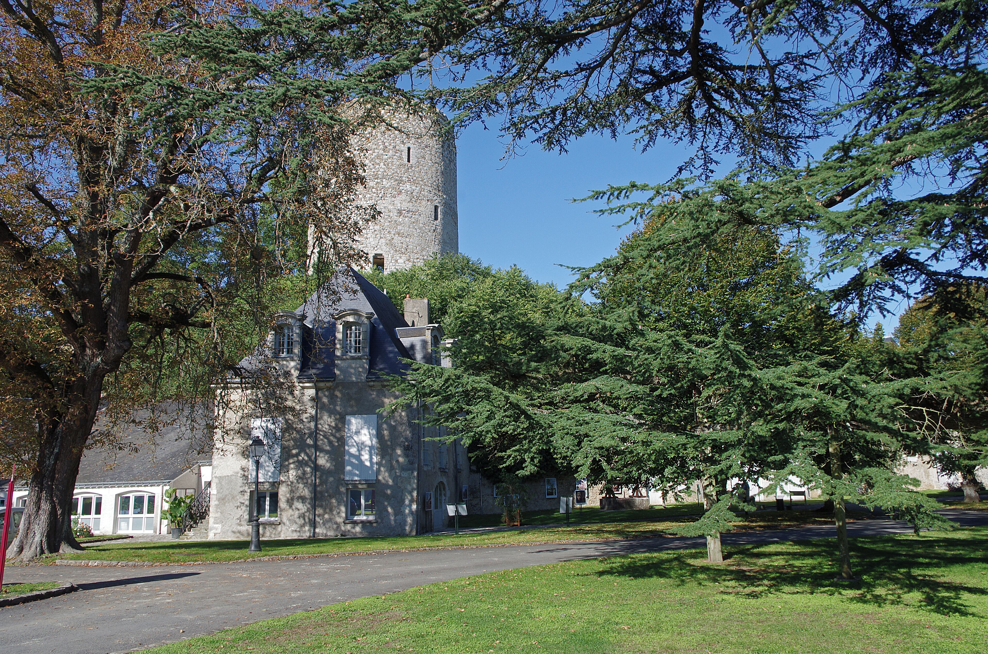 Château-Renault (Indre-et-Loire) Donjon de Château-Renault, XIIe siècle. Du Moyen-Age à la période classique, le site de Château-Renault passe aux mains de nombreux propriétaires : les comtes de Blois, la famille d’Orléans, les Dunois, les Longueville et la famille de Conti. Le domaine est érigé en marquisat au début du XVIIe siècle, sous la famille Rousselet*, dont le plus illustre représentant a été François-Louis Rousselet, vice-amiral de la marine royale et maréchal de France, et dont les armoiries ornent l’ancienne porte d’entrée du château. Au XVIIIe siècle le château devient la propriété du Comte Charles Henri d’Estaing* puis du comte Barrairon. Au XIXe siècle le site est la propriété de la famille Calmon*, qui en fait don en 1948 à la Ville de Château-Renault pour y établir l’hôtel de ville (1962). Selon la « Chronique de Tours », c’est Renaud, petit fils du premier seigneur des lieux -Guicher de Château-Gontier-, qui donna son nom à Château-Renault (castrum Reginaldi) au début du XIe siècle*. Vingt-quatre ans plus tard, le comte d’Anjou Geoffroy Martel*, victorieux à la bataille de Nouy* (août 1044), prend possession de Château-Renault et confie la place à Renaud II de Château-Gontier*. Entre 1064 et 1073, Guicher II, seigneur «héréditaire» récupère son château. Après 1151, au décès de Renaud IV, sa fille Sybille qui est aussi arrière petite fille de Guicher II, épouse Josselin d’Auneau. Mais, elle était promise au fils de Sulpice II d’Amboise. Sulpice décide de se venger et pille et incendie la place. En seconde noce, Sybille épouse Thibaut V le Bon (comte de Champagne, de Blois et de Chartres) et fait ainsi entrer Château-Renault dans la maison de Blois. Vers le milieu du XIIe siècle (entre 1151 et 1163), Thibaut V fait bâtir le donjon que nous connaissons aujourd’hui. En 1226, par son mariage avec Hugues de Châtillon, Marie, fille de Marguerite (comtesse de Blois et de Châteaudun), fait entrer Château-Renault dans cette famille. Hugues de Châtillon devient ainsi seigneur de Château-Renault. Les Châtillons vont conserver la place jusqu’à la fin du XIVe siècle en y effectuant quelques modernisations. Le châtelet d’entrée (fin XIVe siècle) est le principal vestige de ces travaux. La seigneurie est vendue à Louis de France, frère du roi Chrles VI, en octobre 1391. Vers 1425, la place forte, est occupée par les Anglais qui y disposent d’une forte garnison. Â la fin du conflit franco-anglais (mars 1449), Jean d’Orléans, comte de Dunois et compagnon d’armes de Jeanne d’Arc, en fait l’acquisition. Durant les guerres de Religion (1589), le château, aux mains des protestants, mais presque entièrement démantelé, est mis en défense par son capitaine dénommé Sahuet, qui creuse un profond fossé. Cette simple défense fera rebrousser chemin au duc de Mayenne qui préférera marcher sur Tours. Les de Gondy, de Rousselet, d’Estaing, Calmon seront les familles propriétaires de Château-Renault du XVIe au XXe siècle (barons à partir de 1525 puis marquis à partir de 1620). (Voir Marcel Deyres : Le donjon de Château-Renault page 56 à 61 - Archéologia n° 62 - sept 1973) La famille Rousselet devient propriétaire du château et de la seigneurie de Château-Renault en 1618, et érige le domaine en marquisat en 1620. L’un de ses représentants les plus célèbres, François-Louis Rousselet, a exercé son activité militaire au sein de la marine royale française de Louis XIV, en 1661 comme enseigne de vaisseau, puis capitaine, chef d’escadre, lieutenant général des armées navales, et enfin vice-amiral du Levant. Par son mariage en 1746 avec Marie-Sophie de Rousselet, Charles-Henri d’Estaing prend le titre de marquis de Château-Renault. Il exerce une carrière dans l’armée en qualité de mousquetaire. En 1759, il demande à servir sur mer, et commence sa carrière de marin avec une expédition dans le golfe persique. Il est promu lieutenant général des armées navales et participe à des revues d’inspections dans les colonies françaises aux Antilles, puis commande la marine du port de Brest en qualité de Gouverneur. Le roi Louis XVI le fait vice-amiral en 1777, avant de le désigner en 1778 pour partir combattre l’armée anglaise durant la guerre d’indépendance américaine. Il devient Gouverneur de Touraine en 1785 puis est nommé général commandeur de la garde nationale de Versailles. Il obtient la nomination d’amiral, avant d’être cité comme témoin au procès de Marie-Antoinette, puis accusé de conspiration et condamné à mort en 1794. Originaire du Lot, la famille Calmon devient propriétaire du domaine et du château de Château-Renault au début du XIXe siècle. Ses représentants sont issus de la haute administration. D'après la chronique de Tours , Renault , petit fils de Guicher Ier., qui mourut vers l'an 1020 , donna son nom à la place qui n'était connue que sous le nom de Château ; mais la grosse tour cylindrique ou donjon dont on voit encore les ruines , au haut du coteau qui domine la vallée voisine , ne date que du XIIe. siècle , car l'histoire nous apprend que Sulpice d'Amboise mit le siège devant Château-Renault , l'emporta d'assaut et brûla tout , hormis l'église, vers le milieu du XIIe. siècle. Cette tour cylindrique est placée isolément sur une éminence conique ou motte dont les talus ont été consolidés par des murs construits avec soin. Elle était divisée en plusieurs étages ayant des cheminées. Les murs sont revêtus extérieurement en pierres bien cimentées , de moyen appareil ; on remarque , vers la partie supérieure , un rétrécissement très-sensible résultant du talus considérable ménagé dans l'élévation de l'édifice. On avait même, je crois, placé à l'intérieur quelques assises en surplomb dans la partie supérieure des murs , afin de diminuer le diamètre du toit ou peut-être de former une voûte. Le donjon de Château-Renault a été démantelé , l'ancienne (illisible) détruite ; on entre aujourd'hui par une large brèche (illisible) à peu près au tiers du cercle de la tour. L'enceinte du bayle a été défigurée en partie. Elle était assez vaste; la porte d'entrée qui existe encore n'est pas sans intérêt, mais je ne la crois pas du XIIe. siècle. (Histoire sommaire de l'architecture au Moyen-Âge par M. de Caumont - 1836) Geoffroy II Martel, fils de Foulques III Nerra et de Hildegarde, est né à Loches en 1005. Voulant prendre la tutelle de l'Anjou par anticipation, il entrera en guerre contre son père, Foulques Nerra, qui sera vainqueur. Geoffroy Martel devra attendre la mort de son père pour prendre possession d'une vaste région couverte de forteresses. Geoffroy Martel a été excommunié pour les désordres de sa vie privée mais surtout pour le soutien qu'il apportait à Béranger de Tours alors que celui-ci était en conflit avec la Papauté. Geoffroy poursuit la même politique que son père vis a vis des comtes de Blois : enlever Tours aux comtes de Blois et les chasser de Touraine La Bataille de Nouy (1044) s'inscrit dans la longue lutte entre les comtes de Blois et d'Anjou. En 1044, Thibault III, comte de Blois est fait prisonnier par le fils de Foulques Nerra, Geoffroy Martel, qui remporte une victoire à Nouy (près de Saint-Martin-le-Beau). Pour retrouver la liberté, Thibault doit abandonner définitivement la Touraine aux Comtes d'Anjou. Renaud II est cité, comme son frère, dans la charte de Saumur. L'un et l'autre s'attachèrent aux comtes d'Anjou. Geoffroy Martel, comte d'Anjou, après la conquête de la Touraine, dépouilla plusieurs de ses principaux vassaux de cette contrée. En particulier il dépouilla Guicher, possesseur d'un château et d'un domaine qu'il confisqua et céda à Renaud en 1044. Renauld II imposa son nom au domaine et au château : "Castrum quod ejusdem nomine vocatur Castrum Renaldi". Il le garda jusqu'en 1066, époque où Guicher rentra en possession de son bien. En cette même année 1066, Renaud II laissa Château-Renaud pour se fixer définitivement à Château-Gontier. Pas pour longtemps. Le mercredi Saint 4 avril 1067, Renaud II de Chateau-Gontier, Geoffroy de Preuilly, Robert le Bourguignon, et Girard de Montreuil-Bellay, pénètrent dans Angers. Ils s'emparent de Geoffroy le Barbu (neveu de Geoffroy Martel et frère de Foulques le Réchin. Les deux frères se disputent les possessions de leur oncle) pour le compte de Foulques le Réchin. Le lendemain, le jeudi Saint 5 avril, une terrible émeute de la population d'Angers, souleva la ville. Foulque Réchin ne put, ou ne voulut protéger ses affidés de la colère populaire, et Renaud II de Chateau-Gontier, Geoffroy de Preuilly, Robert le Bourguignon, et Girard de Montreuil-Bellay furent massacrés. Voir : www.richesheures.net/epoque-6-15/chateau/37chat-renault-h... www.ville-chateau-renault.fr/Les-personnages-celebres.html