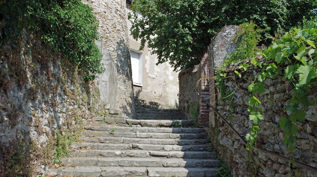 Esvres ou Esvres-sur-Indre (Indre-et-Loire) Les escaliers du Château.