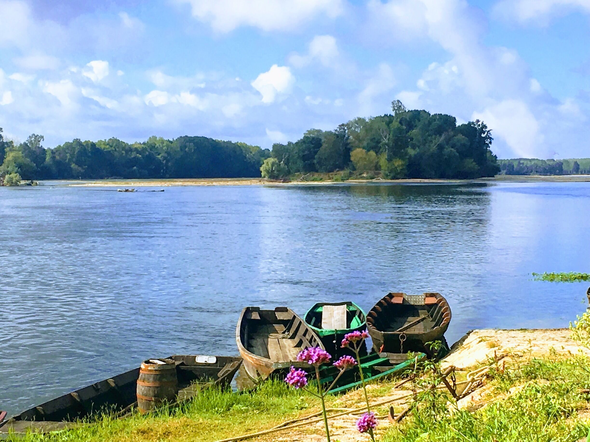 Bord de Loire une fin d'été