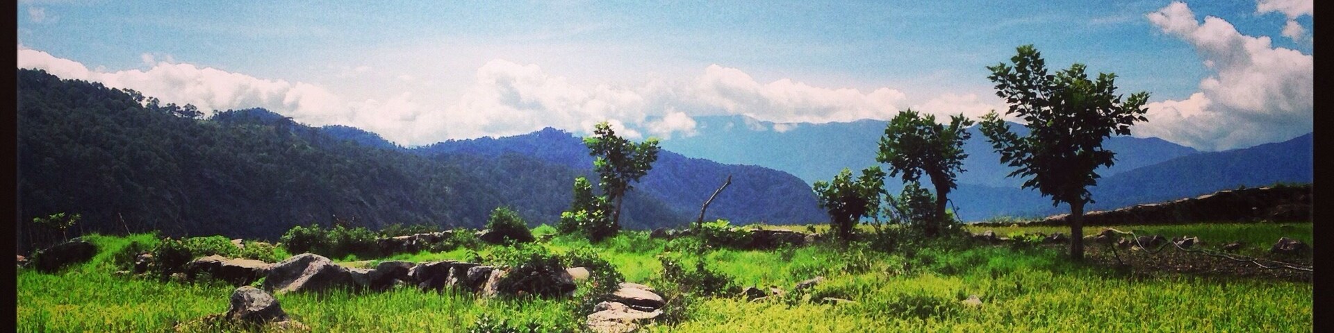 Greens and blues