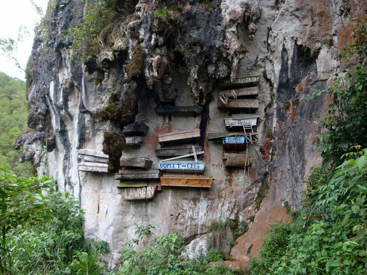 A cliff with wooden signs and a metal ladder.