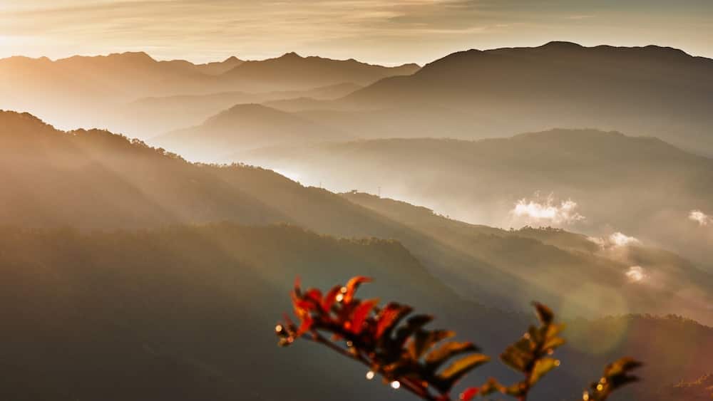 This was taken on one of my trips to the Philippines. Up in Sagada, Mountain Province.. High up there, you start to see that it is a fitting name.. High up and deep within the mountains, the town of Sagada is a popular tourist destination.. And I can see why, just look at the picture. Misty mountains and a golden sunrise, a beautiful combination. #Golden