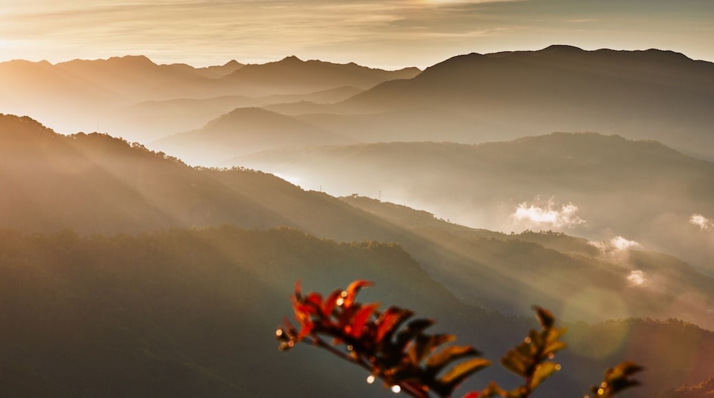 This was taken on one of my trips to the Philippines. Up in Sagada, Mountain Province.. High up there, you start to see that it is a fitting name.. High up and deep within the mountains, the town of Sagada is a popular tourist destination.. And I can see why, just look at the picture. Misty mountains and a golden sunrise, a beautiful combination. #Golden