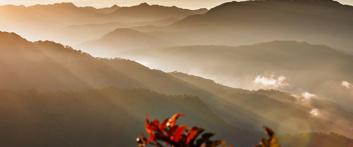 This was taken on one of my trips to the Philippines. Up in Sagada, Mountain Province.. High up there, you start to see that it is a fitting name.. High up and deep within the mountains, the town of Sagada is a popular tourist destination.. And I can see why, just look at the picture. Misty mountains and a golden sunrise, a beautiful combination. #Golden