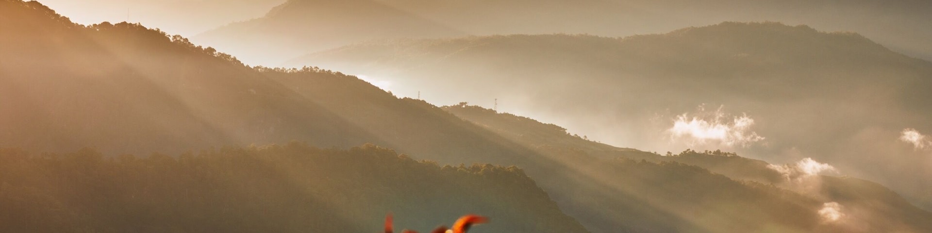 This was taken on one of my trips to the Philippines. Up in Sagada, Mountain Province.. High up there, you start to see that it is a fitting name.. High up and deep within the mountains, the town of Sagada is a popular tourist destination.. And I can see why, just look at the picture. Misty mountains and a golden sunrise, a beautiful combination. #Golden