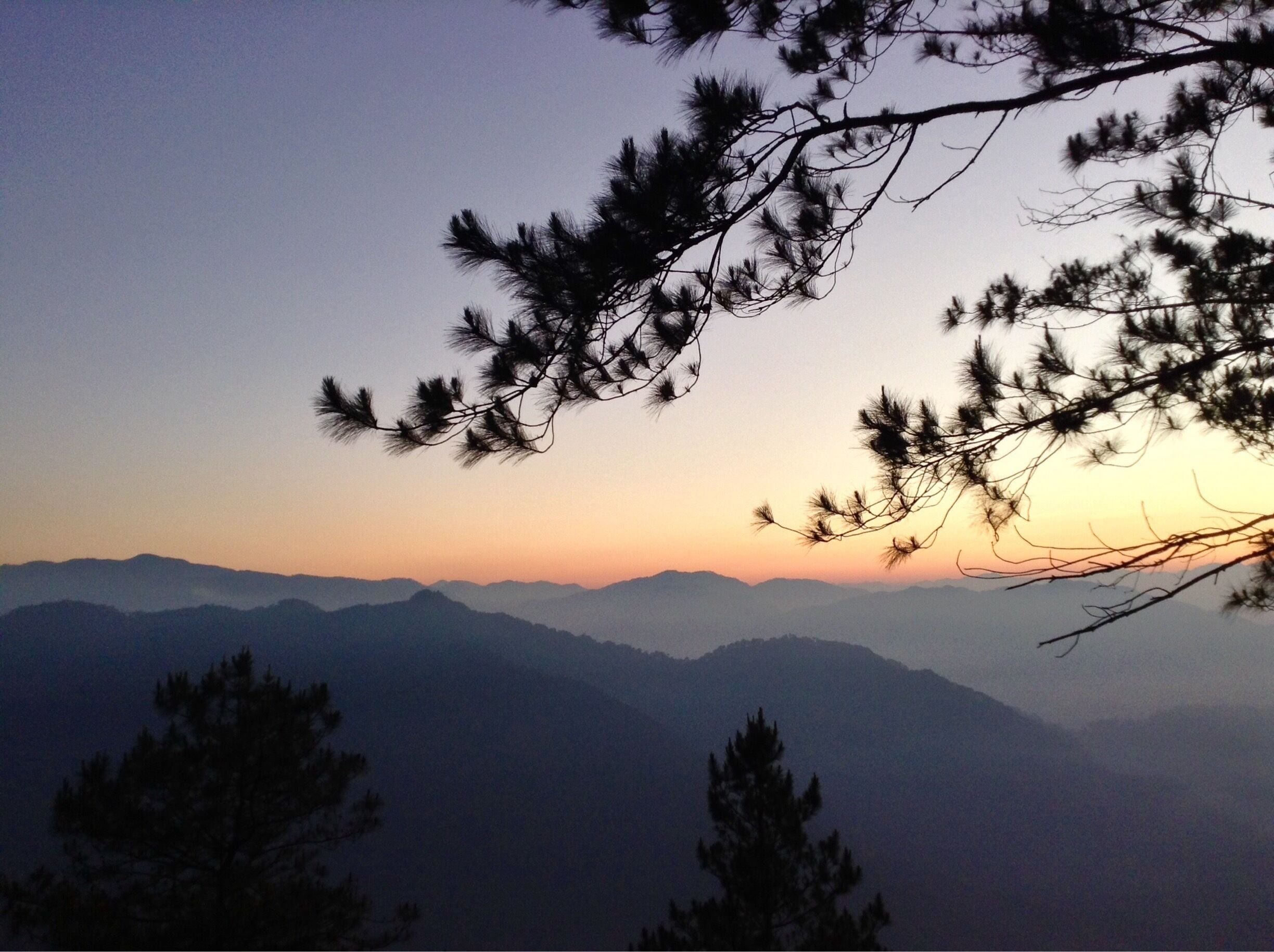 A sunset over mountain ranges with pine trees silhouetted against the sky.
