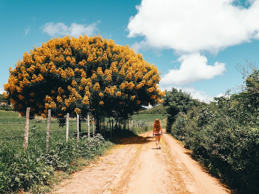 Samaipata is one of Bolivia's hidden gems. Staying in this quiet town gives you access to the beautiful natural areas that surround it.
Quick Tip: Taking a stroll down the streets outside the town offer some pretty jungle views and a glimpse of local life in the countryside. #Bolivia #Travel