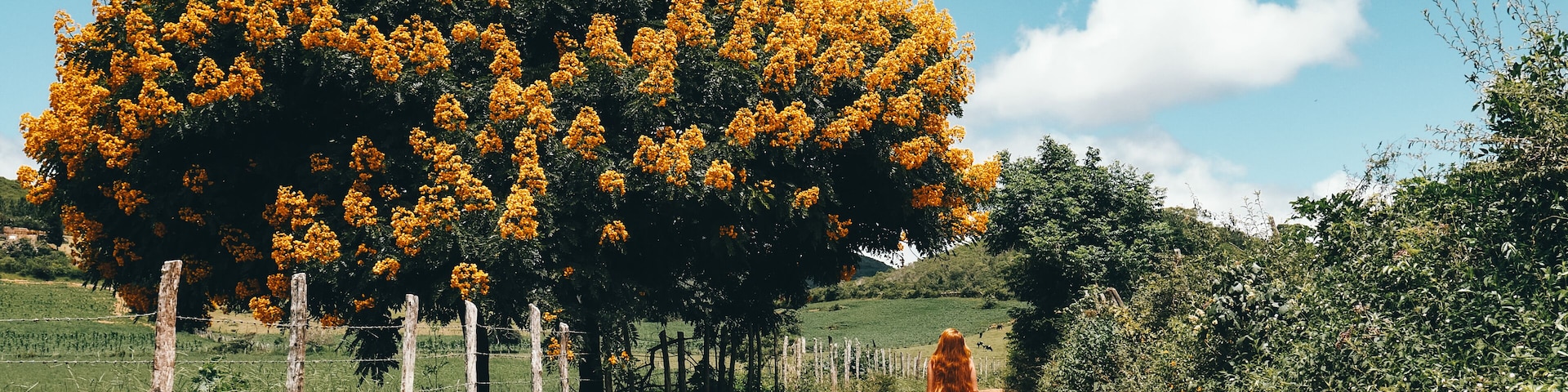 Samaipata is one of Bolivia's hidden gems. Staying in this quiet town gives you access to the beautiful natural areas that surround it.
Quick Tip: Taking a stroll down the streets outside the town offer some pretty jungle views and a glimpse of local life in the countryside. #Bolivia #Travel