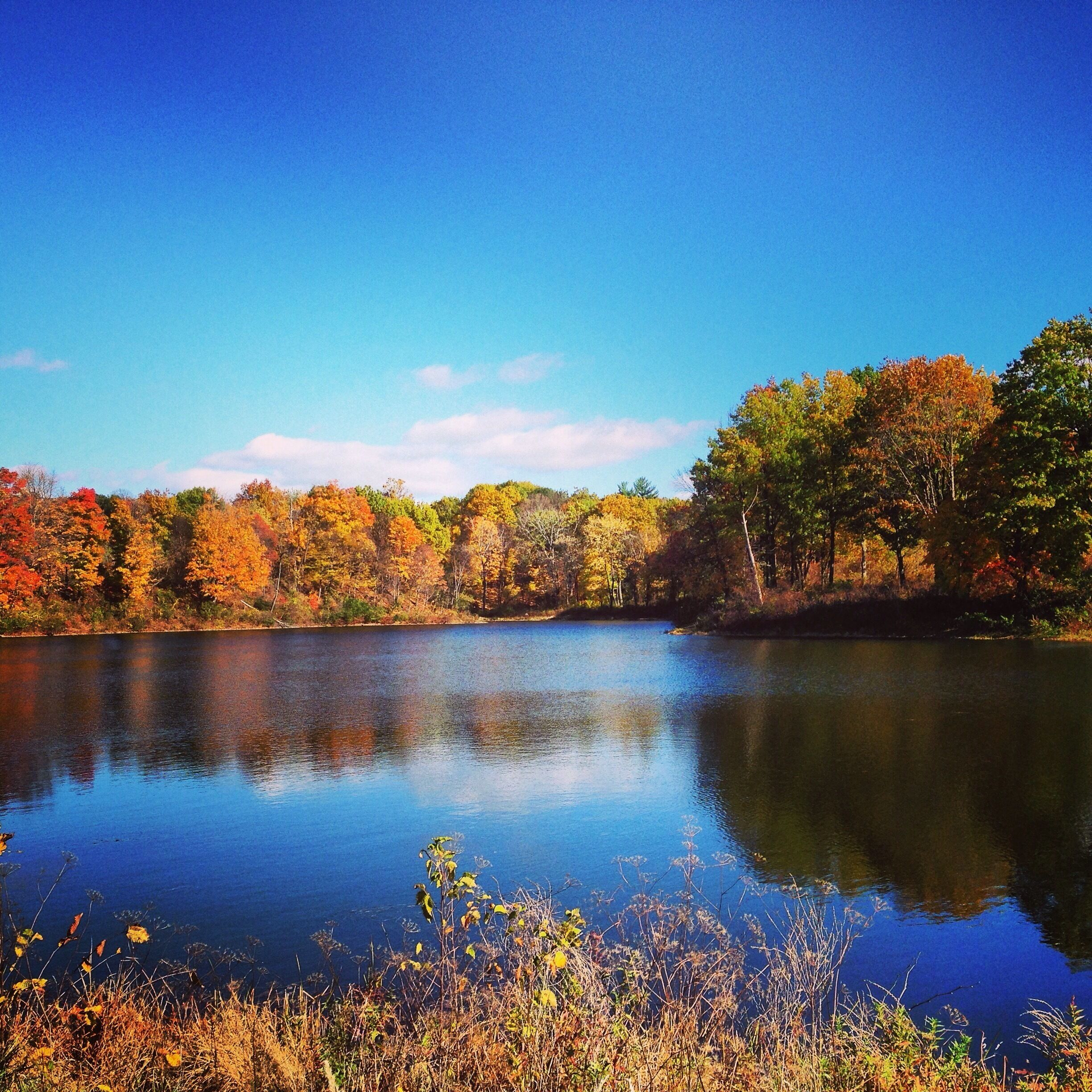 Bradley Lake, can be seen from the small park within the golf course near the tennis courts. Free to see.
#Colorful