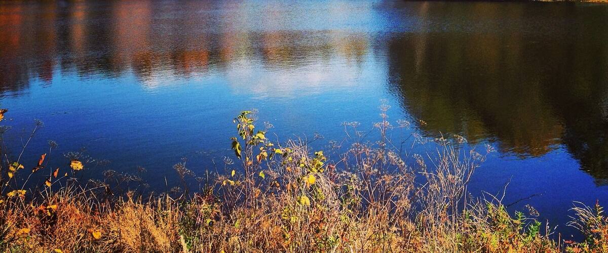 Bradley Lake, can be seen from the small park within the golf course near the tennis courts. Free to see.
#Colorful
