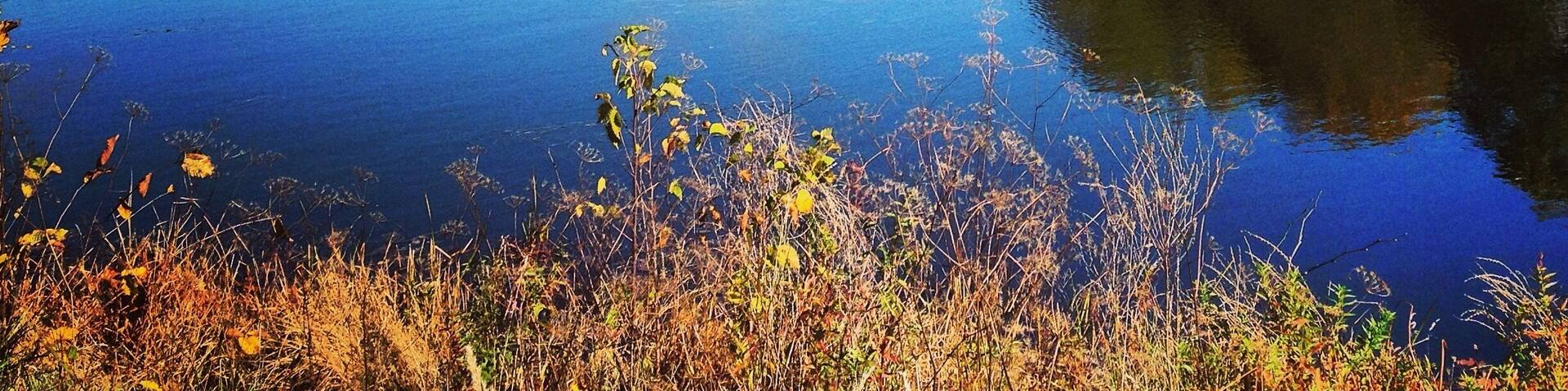 Bradley Lake, can be seen from the small park within the golf course near the tennis courts. Free to see.
#Colorful