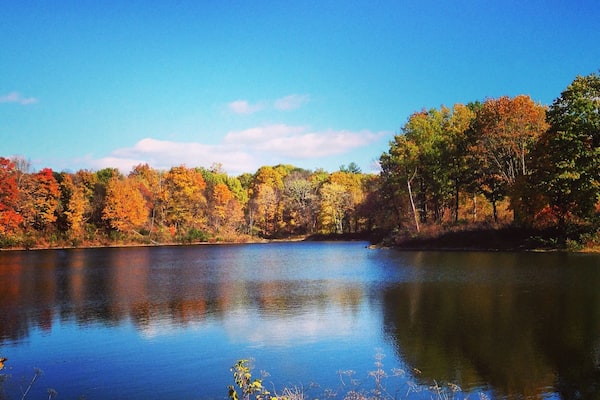 Bradley Lake, can be seen from the small park within the golf course near the tennis courts. Free to see.
#Colorful