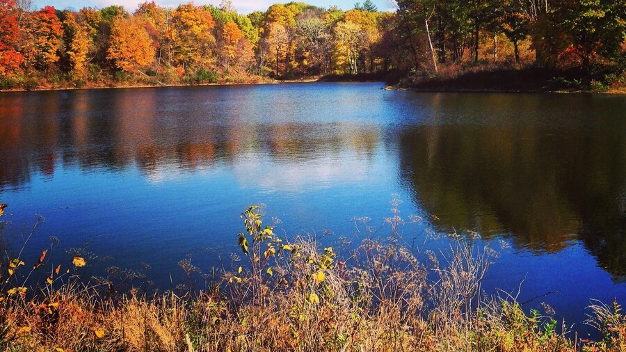 Bradley Lake, can be seen from the small park within the golf course near the tennis courts. Free to see.
#Colorful