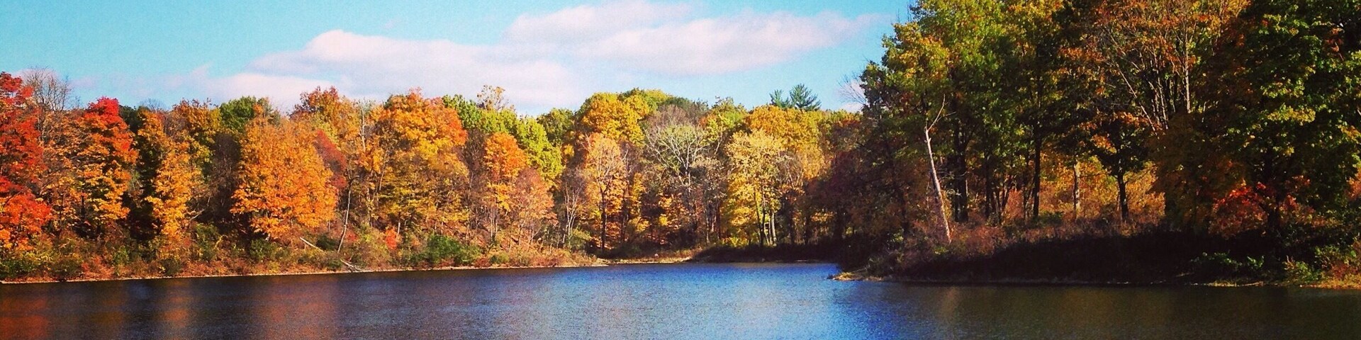 Bradley Lake, can be seen from the small park within the golf course near the tennis courts. Free to see.
#Colorful