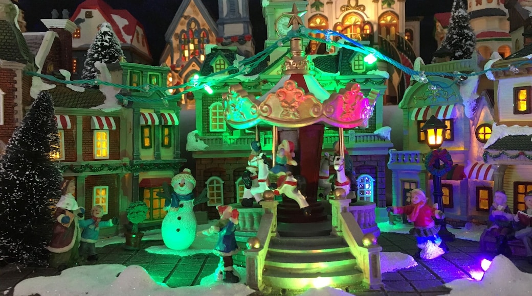 Visiting good friends for lunch and got to see Rick's Santa Village with TV Station and much more.