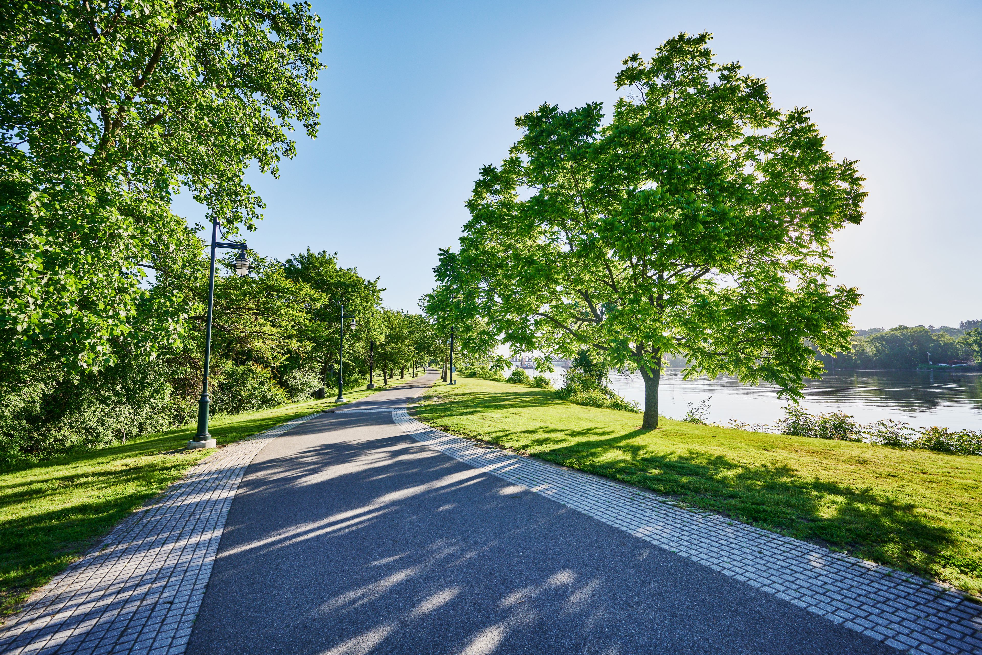 A paved pathway lined with trees and a body of water in the background.