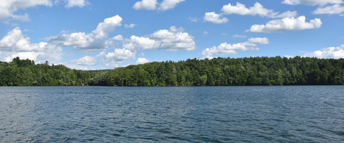 A calm lake with a forested shoreline and a clear blue sky with scattered clouds.