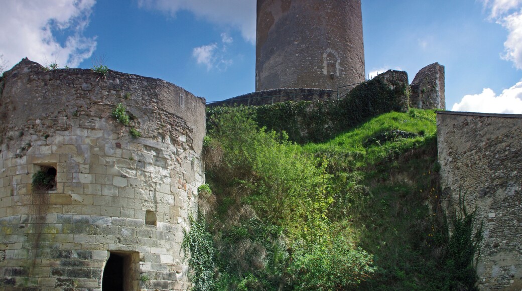 Châtillon-sur-Indre (Indre) La motte, la Tour de César (donjon) avec sa porte d'origine et les restes de la porte d'en bas de l'enceinte La Tour de César est le donjon d'un ancien château médiéval. Ce genre de tour était un élément majeur de l'architecture militaire médiévale. On n'est ici pas très loin des limites de l'empire angevin, d'où la nécessité de surveiller les frontières. Le donjon de Châtillon-sur-Indre est l'un des derniers vestiges d'un puissant château fort édifié sur ordre d'Henri II Plantagenêt vers 1160. Le château était en effet à la limite des domaines du roi de France et du roi d'Angleterre. A la fin du XIIème siècle-début XIIIème, sous Philippe Auguste, le château entre dans le domaine du roi de France En avril 1205, Philippe Auguste cédera le château, à titre provisoire, à Dreu de Mello, fils du connétable* de France Dreu III (ou IV) de Mello*. A la mort, sans postérité, de Dreu de Mello, en 1249, les héritiers contesteront le retour du domaine dans le domaine royale. Après marchandage, le neveu de Dreu de Mello recevra 600 livres de rente pour renoncer à Châtillon et Loches. Ces 600 livres seront inscrites sur la recette des prévôtés et baillages*. En septembre 1274, le roi Philippe III (Philippe le Hardi) donne le château à son Grand Chambellan*, Pierre de La Brosse*. Pierre de la Brosse qui ne possédera le château que jusqu'en 1278, pour cause de pendaison suite à une présumée trahison au profit d'Alphonse de Castille. Pendant les XIIIème et XIVème siècles, le château ne voit que le séjour temporaire et occasionnel du roi. Philippe III y séjournera du 26 a 30 novembre 1283; Philippe IV en mai 1289, août 1305 et février 1307; Jean II à l'hiver 1346. Le château fait partie du duché de Touraine quand Louis d'Amboise en fait une prison en 1432. La château quittera et retrouvera le domaine royal à plusieurs reprises. Au moment de la Révolution, la terre de Châtillon est dans la famille Amelot. Tel qu'il se présente avec sa tour cylindrique qui culmine à 30 mètres, entourée d'un rempart de protection sur une motte calcaire rehaussée, c'est l'un des plus ancien de France. Au 19ème siècle, le château est découpé en parcelles. Le donjon et sa chemise seront donnés à la commune. La commune utilisera le donjon commle château d'eau en 1932. Le connétable, "comes stabuli", comte de l'étable, est à l'origine chargé des écuries, donc des chevaux de guerre. Le connétable de France sera le chef des armées. Ici, il s'agit probablement de Dreu III (ou IV) de Mello, mort en 1218, châtelain de Loches et Châtillon. Le châtelain n'est pas propriétaire du château, c'est souvent le commandant de la place. Son fils, Dreu de Mello, sera seigneur, donc propriétaire de Châtillon. Dreu III (ou IV) de Mello accompagna Philippe Auguste en Terre Sainte lors de la troisième croisade. Le roi le récompensera avec la charge de connétable et les châtellenies de Loches et Châtillon. Il décèdera le 3 mars 1218 à l'âge de 80 ans. Il aura trois enfants, Guillaume qui deviendra Guillaume Ier de Mello seigneur de Saint-Bris, Dreu de Mello qui sera seigneur de Loches et Châtillon, et Agnès qui sera mariée à Garnier III de Traînel, seigneur de Marigny. Prévôtés et bailliages sont des circonscriptions administratives et judiciaires. Le Grand Chambellan de France, très proche du roi, pourrait être comparé au premier ministre actuel. Pierre de la Brosse commence sa fortune comme barbier, et donc chirurgien, de Saint Louis. Le roi dut être content de ses services, puisqu'il en fit un châtelain et le nomma chambellan. Philippe, le fils du roi, le futur Philippe III dit le Hardi, fut également séduit par le personnage. Pierre de la Brosse accompagnera Saint Louis dans la huitième croisade, croisade où le roi trouvera la mort, de dysenterie, à Tunis (Lors de cette croisade, mourront également le fils aîné du roi et Isabelle d'Aragon). Philippe III succéda donc à son père et fit entière confiance à Pierre de la Brosse qu'il nomma Grand Chambellan de France. Pierre de la Brosse profita de cette promotion et de la confiance du roi pour placer toute sa famille en particulier grâce à des alliances matrimoniales avantageuses. Cette rapide ascension sociale d'un individu de petite noblesse (et non de basse extraction comme le prétendirent les jaloux), lui attira de nombreuses inimitiés chez les grands. Surtout, ceux-ci ne supportent pas d'être obligés de ramper à ses pieds pour bénéficier des libéralités royales. Le 21 août 1274, Philippe III épouse en secondes noces Marie de Brabant (sa première épouse, dont il aura quatre fils, Isabelle d'Aragon, était morte en Calabre, enceinte, au retour de la huitième croisade). Marie, prit ascendant sur le roi, ce qui causa bientôt de l'ombrage à l'ancien barbier. En mai 1276, le prince héritier Louis, issu du premier mariage, mourut subitement, à l'âge de 12 ou 13 ans. Des insinuations diffusées par Pierre de La Brosse, laissèrent entendre que le jeune Louis avait été empoisonné par sa belle-mère, Marie de Brabant, dans le dessein d'éliminer successivement les fils d'Isabelle d'Aragon et de promouvoir sa descendance. "En lan de grace mil CC.LXXVI. avint que Loys le premier filz le roy Phelippe mourut et fu empoisonné si comme aucuns dient. Le roy en fu en soupecçon, et ceste souspecçon mist en son cuer Pierre de la Broche, son maistre chambellenc".(Guillaume de Nangis, moine de Saint Denis mort en 1300 -"Gesta Philippi Tertia Francorum Regis") La reine accuse à son tour le chambellan Pierre de la Brosse de manipulation. Pour se tirer d'affaire, il tenta, par l'intermédiaire de son cousin évêque de Bayeux, de suborner une béguine de Liège qui prétendait avoir des révélations à faire sur la mort du jeune Louis. L'évêque lui demanda de dire que la mort du jeune prince était due à la "clique brabançonne" qui entourait la reine. Mais l'évêque de Liège interrogea la béguine et révéla la supercherie. Toutefois, le roi hésitait encore à désavouer son favori et à innocenter sa femme. Il en fallait plus. Les "grands" trouvèrent : on l'accusa d'être à l'origine d'un revirement soudain du roi dans la campagne de Castille, suite à une manipulation. Pierre de la Brosse fut donc arrêté en janvier 1278 pour haute trahison. On l'éloigna de la capitale, à Janville(Eure-et-Loire), certainement pour que le roi ne puisse le sauver. Pierre de La Brosse fut jugé par les "grands", dont certains étaient d'ailleurs ses débiteurs, et non par des gens de loi, et pendu le 30 juin 1278 au gibet de Montfaucon. "(...) Quant les barons furent assemblez, Pierre fu tantost délivré au bourrel de Paris qui pent les larrons, à bon matin au soleil levant. Si le convoièrent au gibet, le duc de Bourgoingne; le duc de Breuban; le conte d'Artois, et plusieurs autres nobles barons. (...) Le bourrel lui mist la corde autour le col, et lui demanda s'il vouloit riens plus dire; et il dist que nennin; et tantost le bourel osta l'eschiele et le laissa aller entre les larrons."