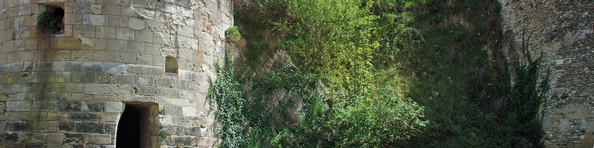 Châtillon-sur-Indre (Indre) La motte, la Tour de César (donjon) avec sa porte d'origine et les restes de la porte d'en bas de l'enceinte La Tour de César est le donjon d'un ancien château médiéval. Ce genre de tour était un élément majeur de l'architecture militaire médiévale. On n'est ici pas très loin des limites de l'empire angevin, d'où la nécessité de surveiller les frontières. Le donjon de Châtillon-sur-Indre est l'un des derniers vestiges d'un puissant château fort édifié sur ordre d'Henri II Plantagenêt vers 1160. Le château était en effet à la limite des domaines du roi de France et du roi d'Angleterre. A la fin du XIIème siècle-début XIIIème, sous Philippe Auguste, le château entre dans le domaine du roi de France En avril 1205, Philippe Auguste cédera le château, à titre provisoire, à Dreu de Mello, fils du connétable* de France Dreu III (ou IV) de Mello*. A la mort, sans postérité, de Dreu de Mello, en 1249, les héritiers contesteront le retour du domaine dans le domaine royale. Après marchandage, le neveu de Dreu de Mello recevra 600 livres de rente pour renoncer à Châtillon et Loches. Ces 600 livres seront inscrites sur la recette des prévôtés et baillages*. En septembre 1274, le roi Philippe III (Philippe le Hardi) donne le château à son Grand Chambellan*, Pierre de La Brosse*. Pierre de la Brosse qui ne possédera le château que jusqu'en 1278, pour cause de pendaison suite à une présumée trahison au profit d'Alphonse de Castille. Pendant les XIIIème et XIVème siècles, le château ne voit que le séjour temporaire et occasionnel du roi. Philippe III y séjournera du 26 a 30 novembre 1283; Philippe IV en mai 1289, août 1305 et février 1307; Jean II à l'hiver 1346. Le château fait partie du duché de Touraine quand Louis d'Amboise en fait une prison en 1432. La château quittera et retrouvera le domaine royal à plusieurs reprises. Au moment de la Révolution, la terre de Châtillon est dans la famille Amelot. Tel qu'il se présente avec sa tour cylindrique qui culmine à 30 mètres, entourée d'un rempart de protection sur une motte calcaire rehaussée, c'est l'un des plus ancien de France. Au 19ème siècle, le château est découpé en parcelles. Le donjon et sa chemise seront donnés à la commune. La commune utilisera le donjon commle château d'eau en 1932. Le connétable, "comes stabuli", comte de l'étable, est à l'origine chargé des écuries, donc des chevaux de guerre. Le connétable de France sera le chef des armées. Ici, il s'agit probablement de Dreu III (ou IV) de Mello, mort en 1218, châtelain de Loches et Châtillon. Le châtelain n'est pas propriétaire du château, c'est souvent le commandant de la place. Son fils, Dreu de Mello, sera seigneur, donc propriétaire de Châtillon. Dreu III (ou IV) de Mello accompagna Philippe Auguste en Terre Sainte lors de la troisième croisade. Le roi le récompensera avec la charge de connétable et les châtellenies de Loches et Châtillon. Il décèdera le 3 mars 1218 à l'âge de 80 ans. Il aura trois enfants, Guillaume qui deviendra Guillaume Ier de Mello seigneur de Saint-Bris, Dreu de Mello qui sera seigneur de Loches et Châtillon, et Agnès qui sera mariée à Garnier III de Traînel, seigneur de Marigny. Prévôtés et bailliages sont des circonscriptions administratives et judiciaires. Le Grand Chambellan de France, très proche du roi, pourrait être comparé au premier ministre actuel. Pierre de la Brosse commence sa fortune comme barbier, et donc chirurgien, de Saint Louis. Le roi dut être content de ses services, puisqu'il en fit un châtelain et le nomma chambellan. Philippe, le fils du roi, le futur Philippe III dit le Hardi, fut également séduit par le personnage. Pierre de la Brosse accompagnera Saint Louis dans la huitième croisade, croisade où le roi trouvera la mort, de dysenterie, à Tunis (Lors de cette croisade, mourront également le fils aîné du roi et Isabelle d'Aragon). Philippe III succéda donc à son père et fit entière confiance à Pierre de la Brosse qu'il nomma Grand Chambellan de France. Pierre de la Brosse profita de cette promotion et de la confiance du roi pour placer toute sa famille en particulier grâce à des alliances matrimoniales avantageuses. Cette rapide ascension sociale d'un individu de petite noblesse (et non de basse extraction comme le prétendirent les jaloux), lui attira de nombreuses inimitiés chez les grands. Surtout, ceux-ci ne supportent pas d'être obligés de ramper à ses pieds pour bénéficier des libéralités royales. Le 21 août 1274, Philippe III épouse en secondes noces Marie de Brabant (sa première épouse, dont il aura quatre fils, Isabelle d'Aragon, était morte en Calabre, enceinte, au retour de la huitième croisade). Marie, prit ascendant sur le roi, ce qui causa bientôt de l'ombrage à l'ancien barbier. En mai 1276, le prince héritier Louis, issu du premier mariage, mourut subitement, à l'âge de 12 ou 13 ans. Des insinuations diffusées par Pierre de La Brosse, laissèrent entendre que le jeune Louis avait été empoisonné par sa belle-mère, Marie de Brabant, dans le dessein d'éliminer successivement les fils d'Isabelle d'Aragon et de promouvoir sa descendance. "En lan de grace mil CC.LXXVI. avint que Loys le premier filz le roy Phelippe mourut et fu empoisonné si comme aucuns dient. Le roy en fu en soupecçon, et ceste souspecçon mist en son cuer Pierre de la Broche, son maistre chambellenc".(Guillaume de Nangis, moine de Saint Denis mort en 1300 -"Gesta Philippi Tertia Francorum Regis") La reine accuse à son tour le chambellan Pierre de la Brosse de manipulation. Pour se tirer d'affaire, il tenta, par l'intermédiaire de son cousin évêque de Bayeux, de suborner une béguine de Liège qui prétendait avoir des révélations à faire sur la mort du jeune Louis. L'évêque lui demanda de dire que la mort du jeune prince était due à la "clique brabançonne" qui entourait la reine. Mais l'évêque de Liège interrogea la béguine et révéla la supercherie. Toutefois, le roi hésitait encore à désavouer son favori et à innocenter sa femme. Il en fallait plus. Les "grands" trouvèrent : on l'accusa d'être à l'origine d'un revirement soudain du roi dans la campagne de Castille, suite à une manipulation. Pierre de la Brosse fut donc arrêté en janvier 1278 pour haute trahison. On l'éloigna de la capitale, à Janville(Eure-et-Loire), certainement pour que le roi ne puisse le sauver. Pierre de La Brosse fut jugé par les "grands", dont certains étaient d'ailleurs ses débiteurs, et non par des gens de loi, et pendu le 30 juin 1278 au gibet de Montfaucon. "(...) Quant les barons furent assemblez, Pierre fu tantost délivré au bourrel de Paris qui pent les larrons, à bon matin au soleil levant. Si le convoièrent au gibet, le duc de Bourgoingne; le duc de Breuban; le conte d'Artois, et plusieurs autres nobles barons. (...) Le bourrel lui mist la corde autour le col, et lui demanda s'il vouloit riens plus dire; et il dist que nennin; et tantost le bourel osta l'eschiele et le laissa aller entre les larrons."