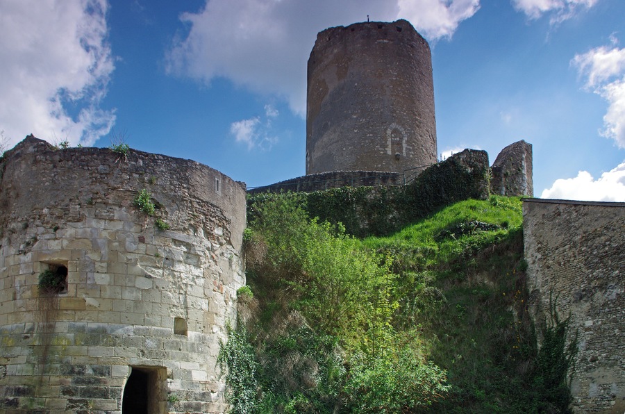 Una torre de piedra histórica y muros con vegetación.