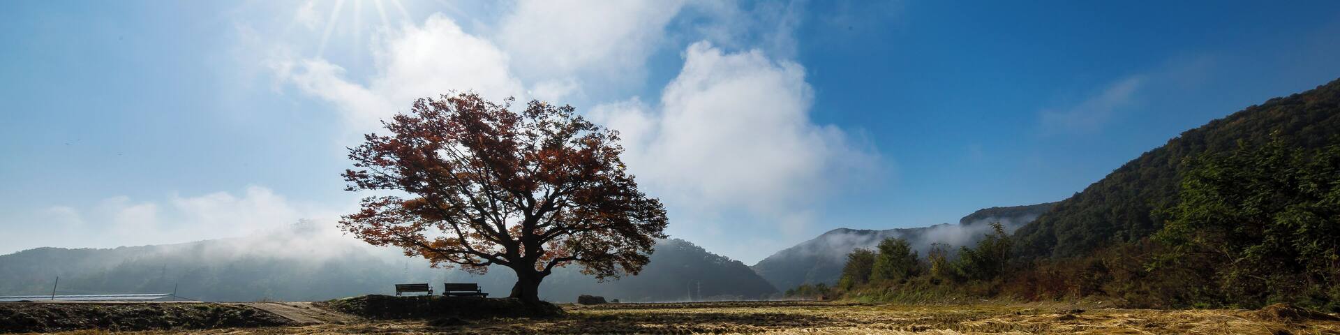 Fall Landscape of Wonjeong-ri, Boeun, South Korea