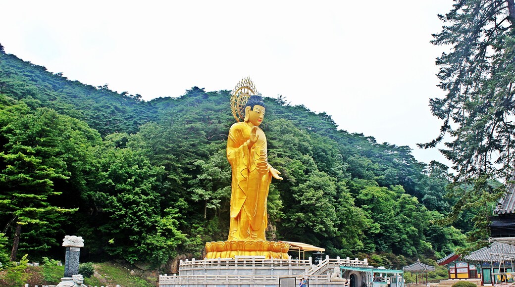 This media shows the cultural heritage monument in South Korea with the number: