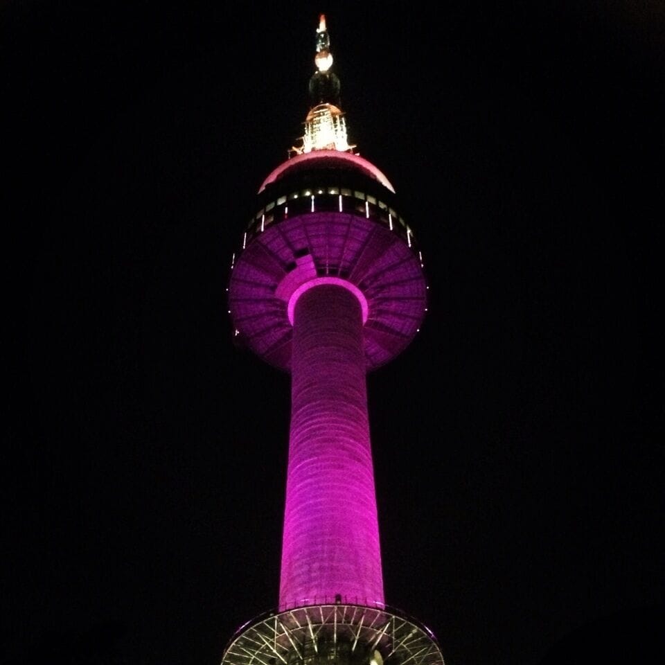 After having bibimbap all day, we decided to take a walk on an uphill climb going here, Seoul Tower. Love the purple color!