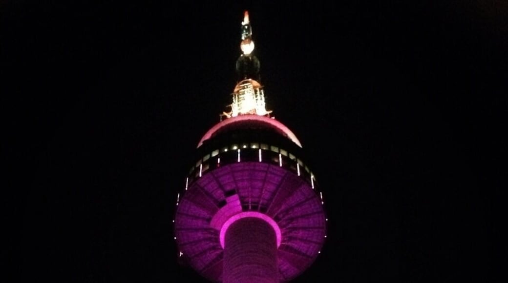 After having bibimbap all day, we decided to take a walk on an uphill climb going here, Seoul Tower. Love the purple color!