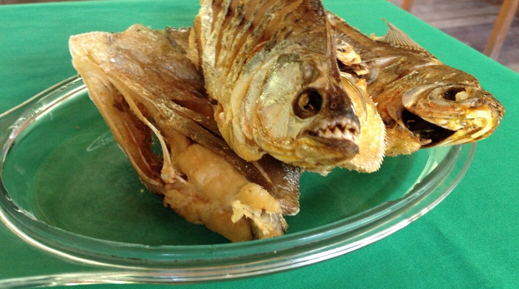 After going fishing for piranhas in the jungle, this is dinner, teeth and all!