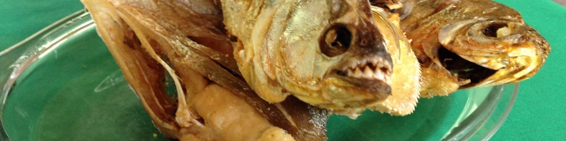 After going fishing for piranhas in the jungle, this is dinner, teeth and all!