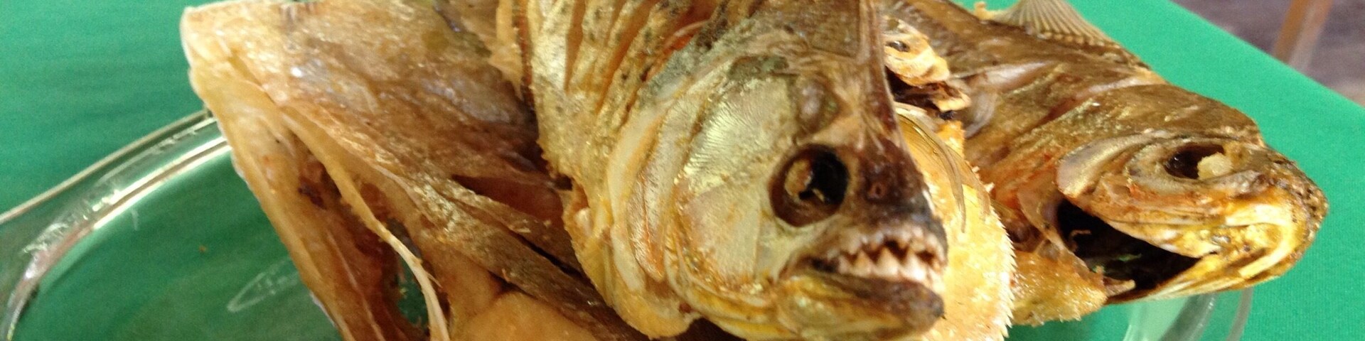 After going fishing for piranhas in the jungle, this is dinner, teeth and all!