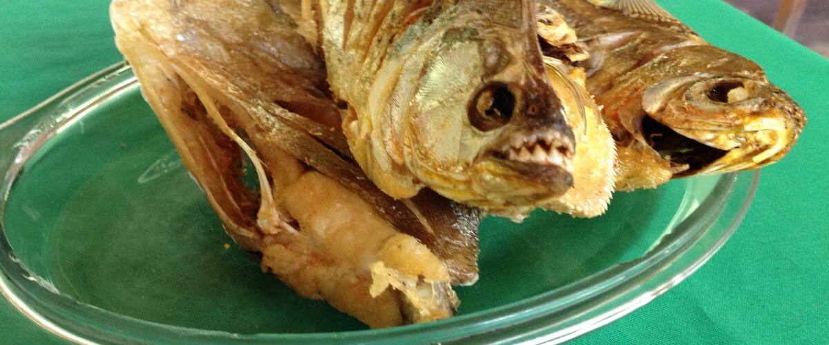 A plate of dried fish on a green tablecloth.