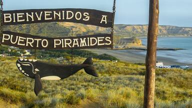 Puerto piramides viewpoint, chubut, argentina