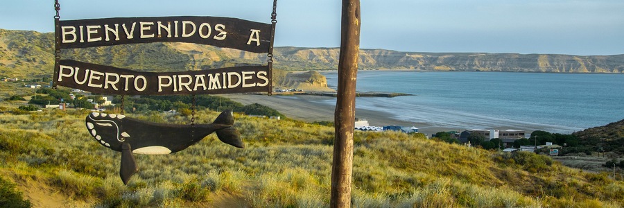 Puerto piramides viewpoint, chubut, argentina