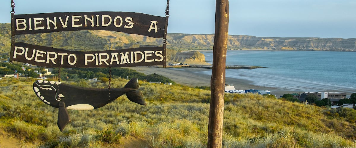 A sign reading "Bienvenidos a Puerto Piramides" with a donkey sculpture and a coastal landscape.
