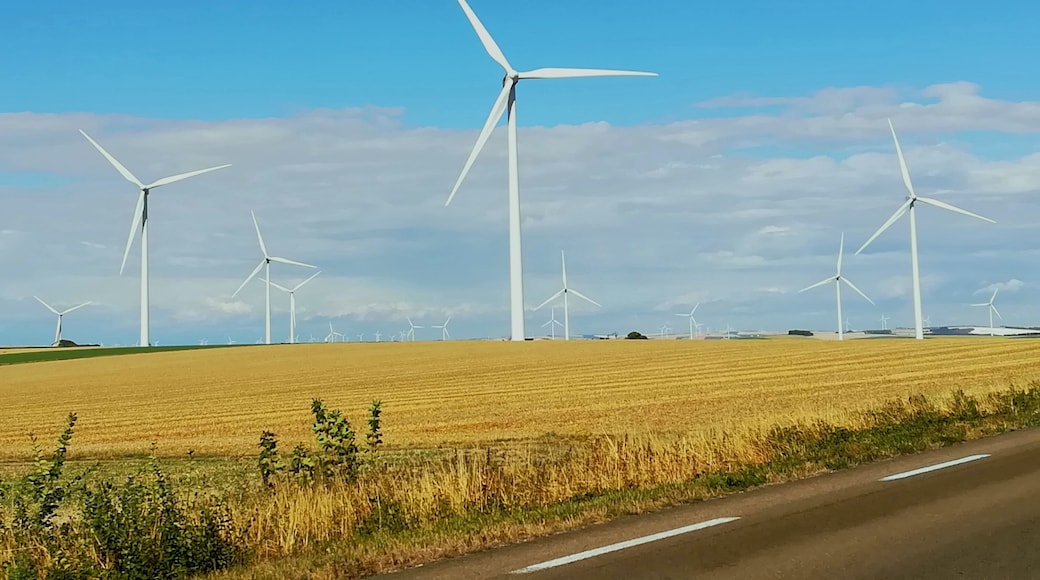 Forget about highways in France. Take the national or department roads and enjoy the scenery.
Relaxing drive through Champagne area
#France
#ChampagneWineArea
#Sézanne
#TroveonTuesday-viva La France