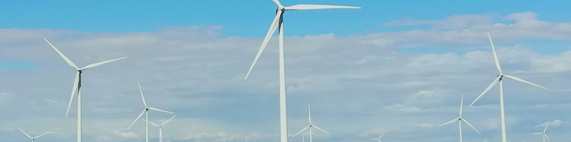 Forget about highways in France. Take the national or department roads and enjoy the scenery.
Relaxing drive through Champagne area
#France
#ChampagneWineArea
#Sézanne
#TroveonTuesday-viva La France