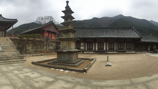 This media shows the cultural heritage monument in South Korea with the number: