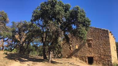 Un vieux bâtiment en pierre, entouré d’arbres.