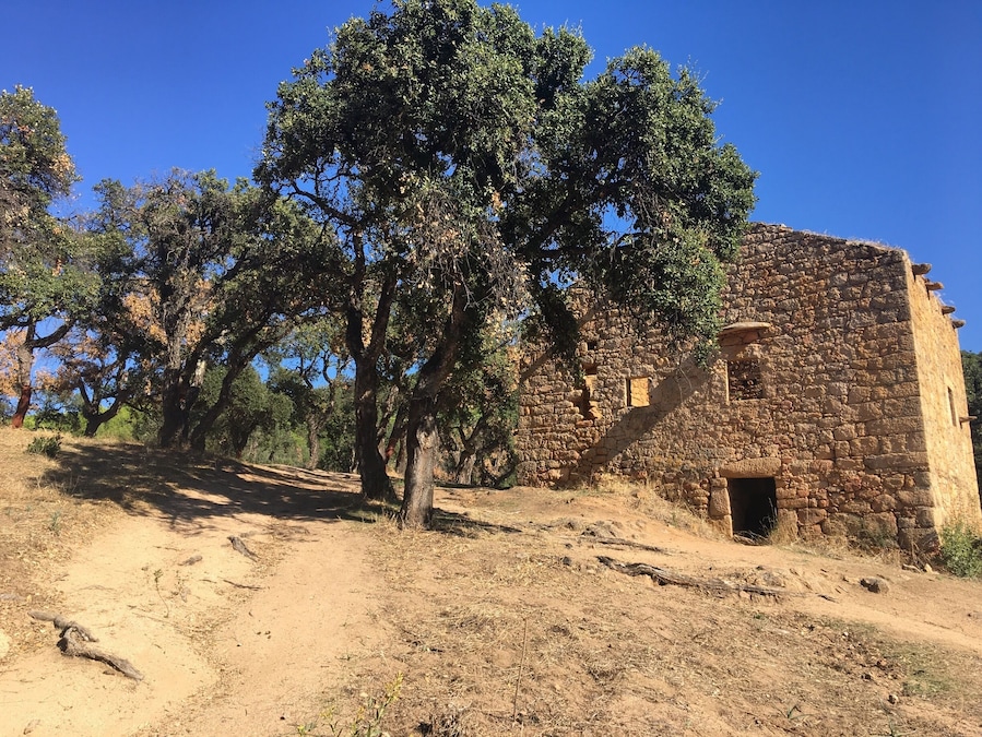 Un antiguo edificio de piedra rodeado de árboles.