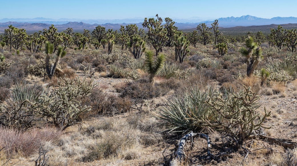 尤卡谷社区公园