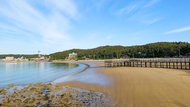 view of the coastal city beach in the summer. Mallipo beach Taean gun city in South Korea 26.06.2023