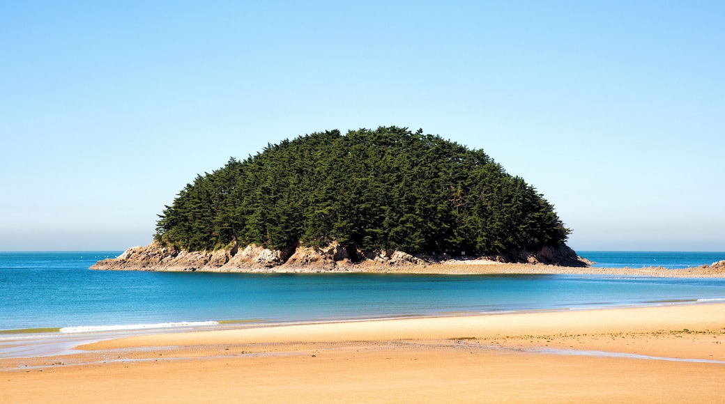Nangsae island in Taean-gun, South Korea. Small uninhabited island.