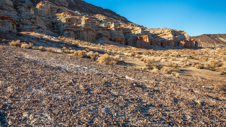 Centre de Benvinguda de Califòrnia